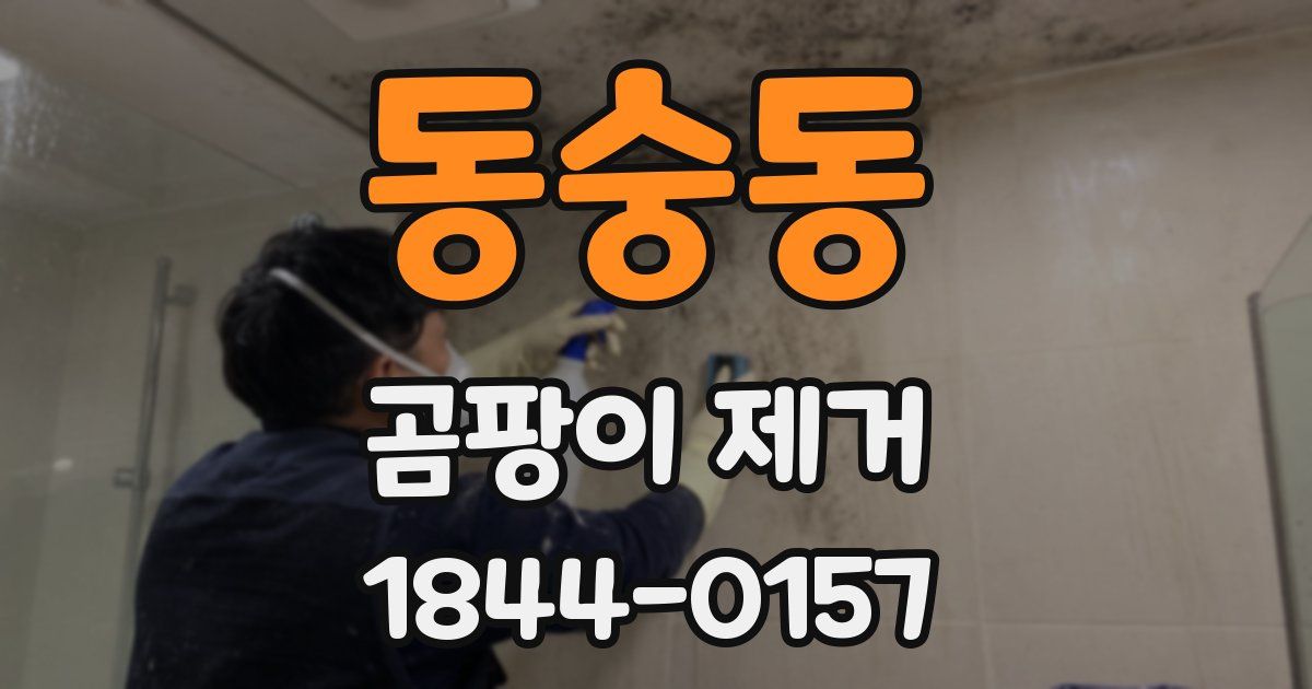 동숭동 곰팡이 제거