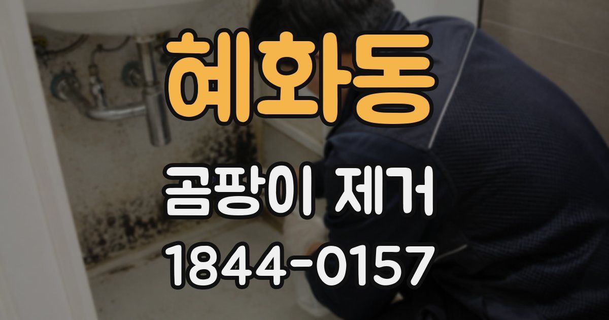 혜화동 곰팡이 제거