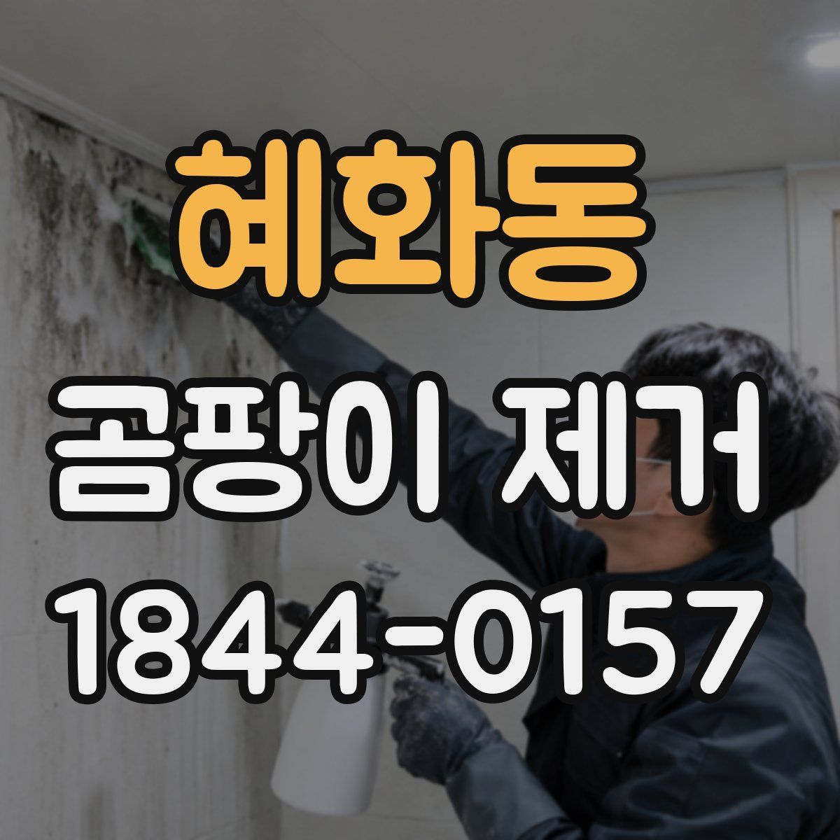 혜화동 곰팡이 제거