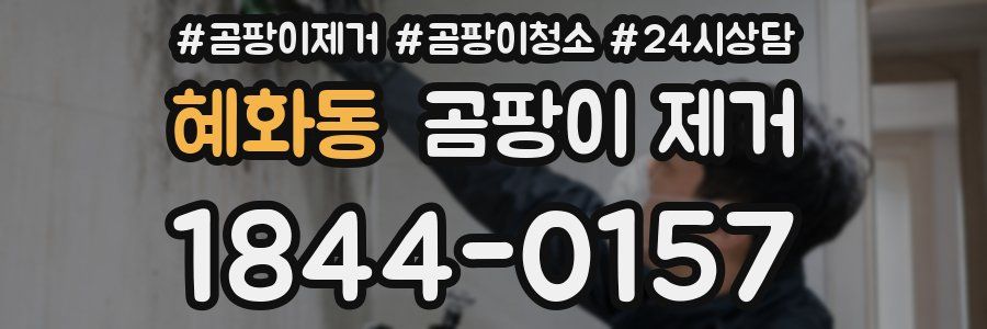 혜화동 곰팡이 제거