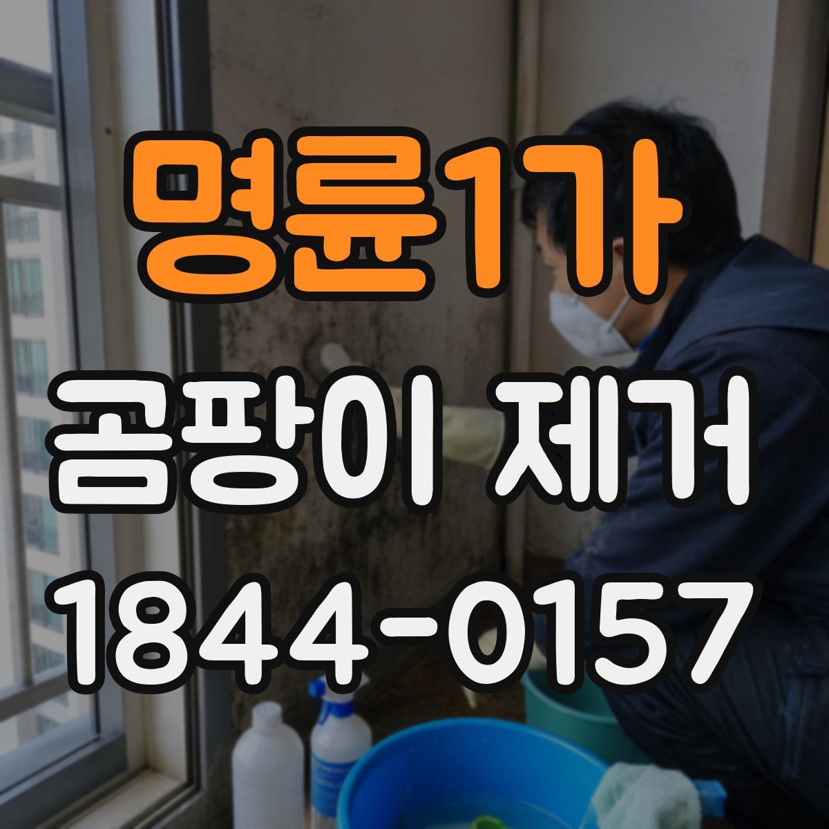 명륜1가 곰팡이 제거