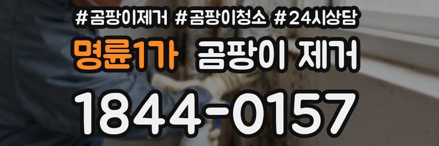 명륜1가 곰팡이 제거