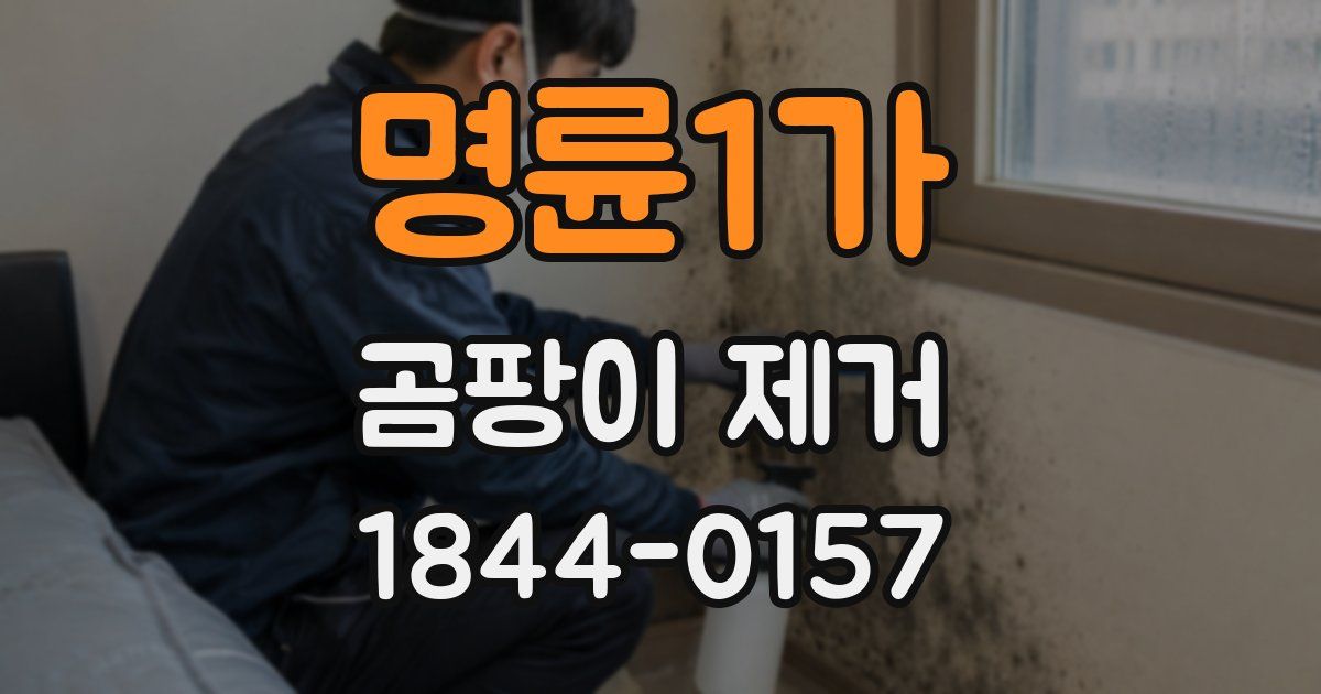 명륜1가 곰팡이 제거