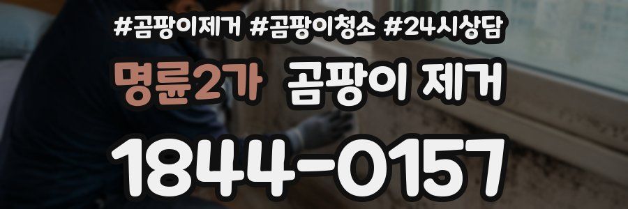 명륜2가 곰팡이 제거
