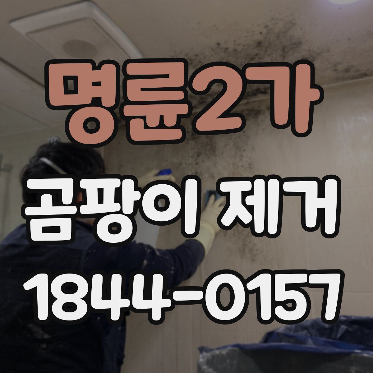 명륜2가 곰팡이 제거