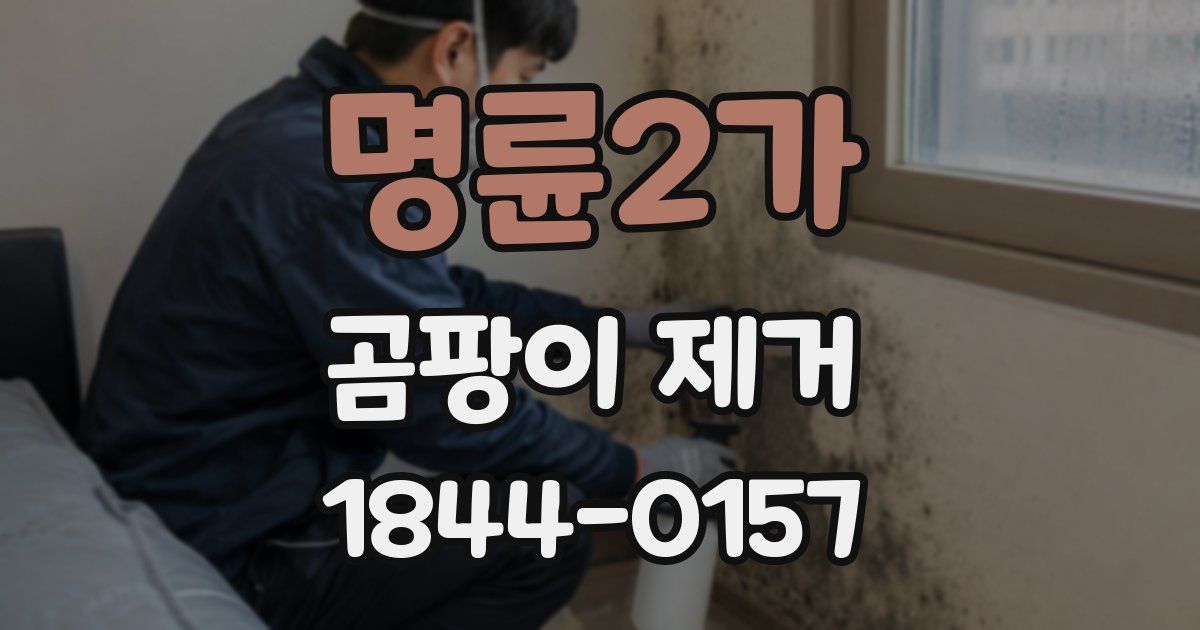 명륜2가 곰팡이 제거