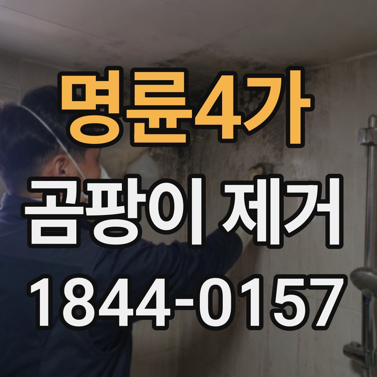 명륜4가 곰팡이 제거