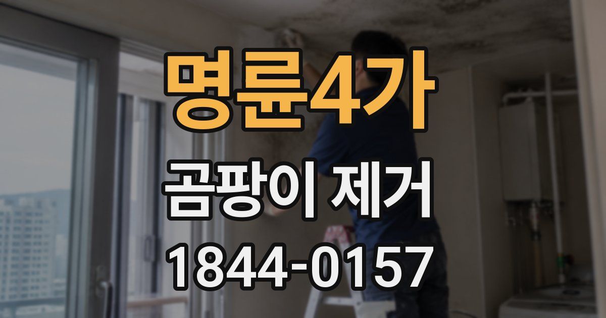 명륜4가 곰팡이 제거