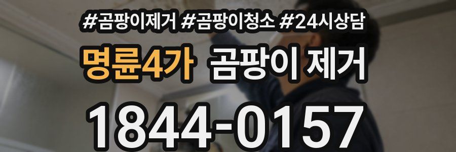 명륜4가 곰팡이 제거