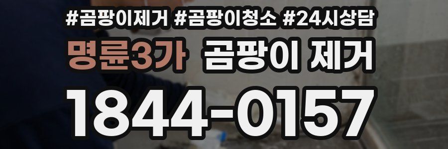 명륜3가 곰팡이 제거