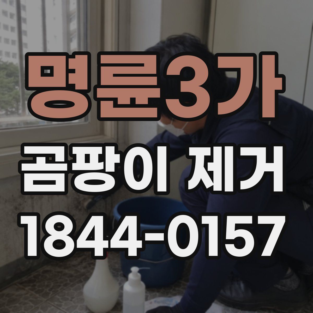 명륜3가 곰팡이 제거