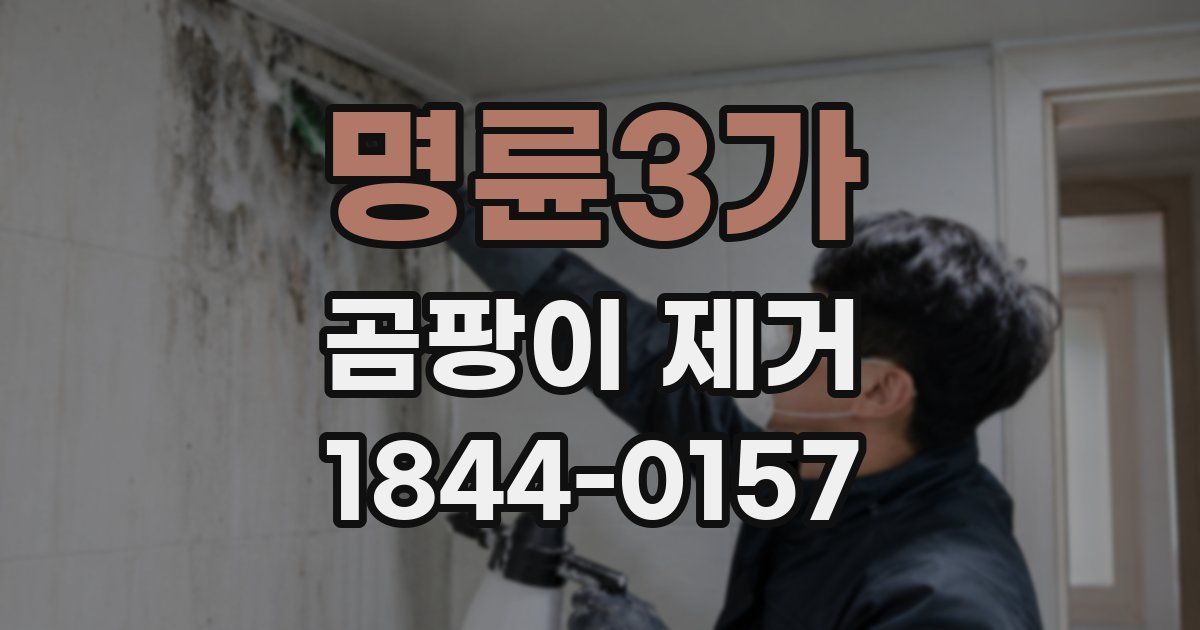 명륜3가 곰팡이 제거