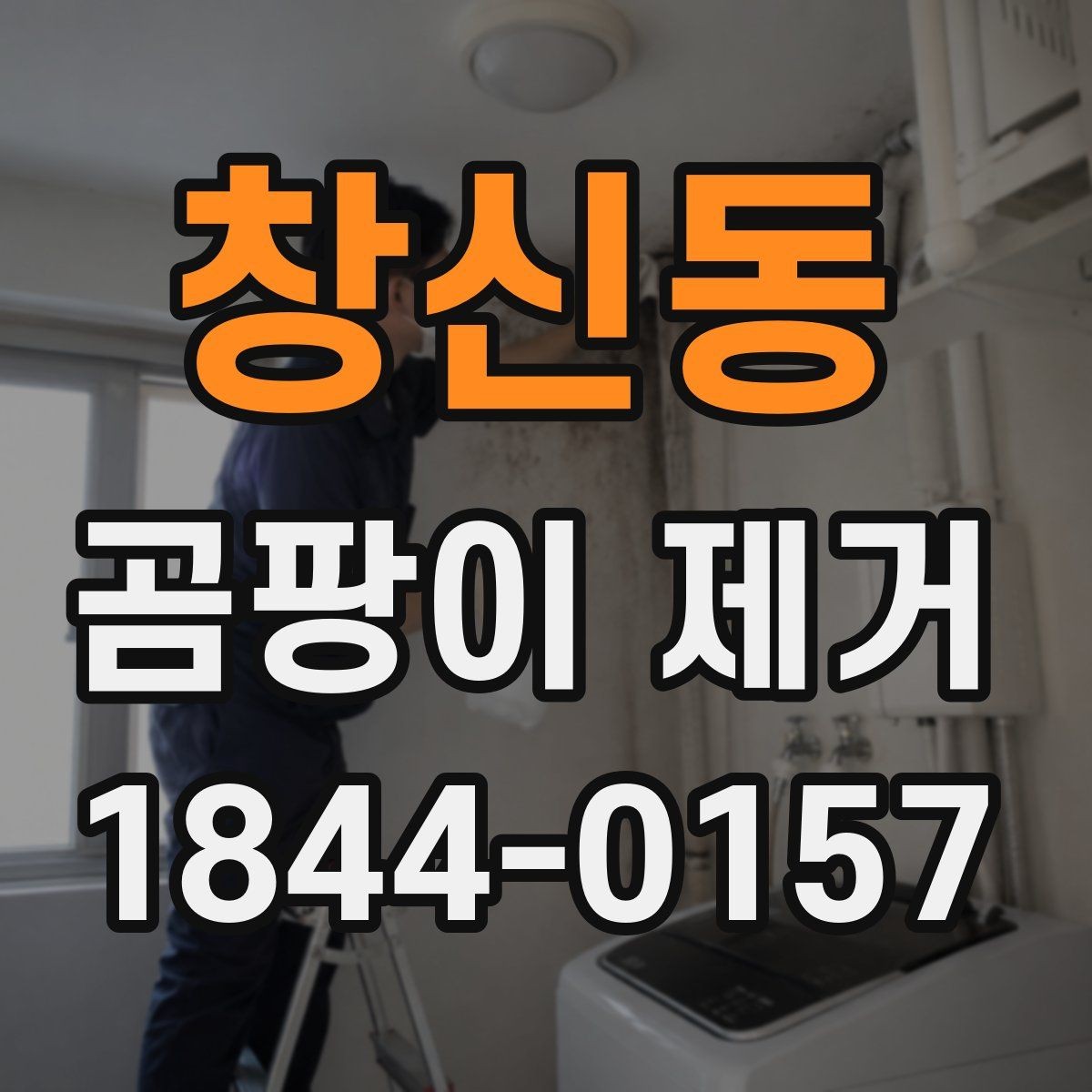 창신동 곰팡이 제거 세입자와 집주인 책임을 나눠 보는 기준