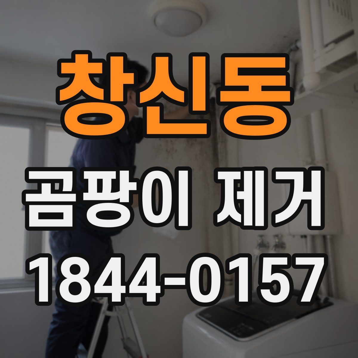 창신동 곰팡이 제거