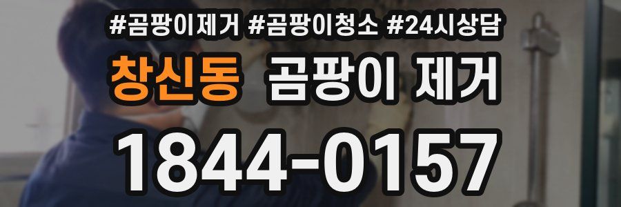 창신동 곰팡이 제거