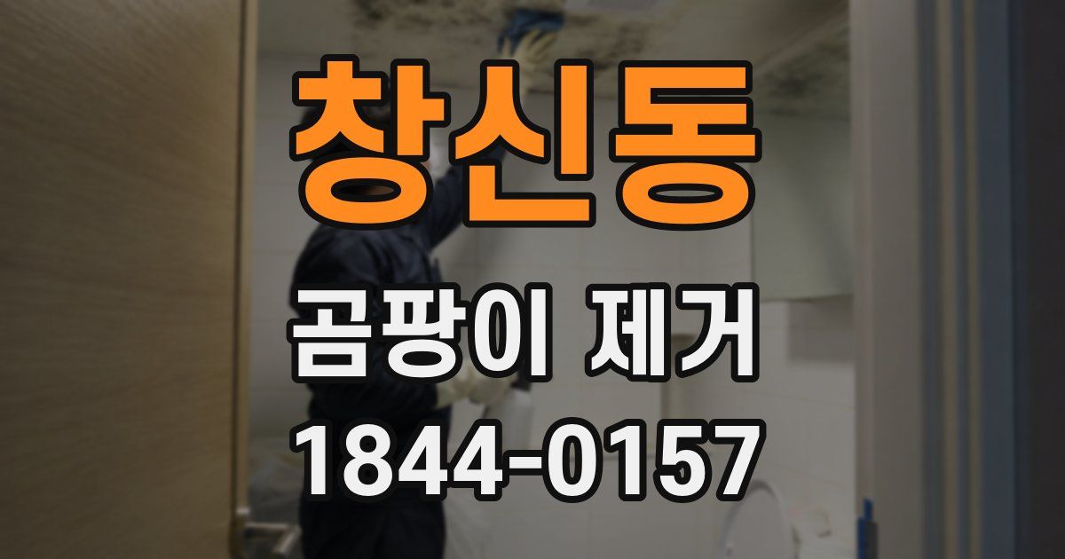 창신동 곰팡이 제거