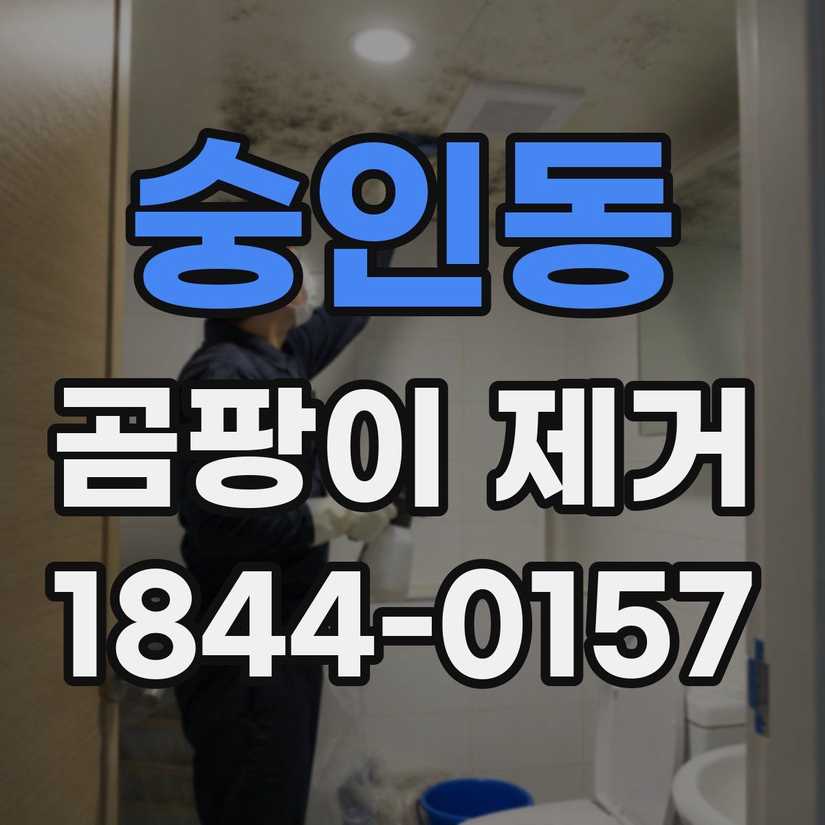 숭인동 곰팡이 제거