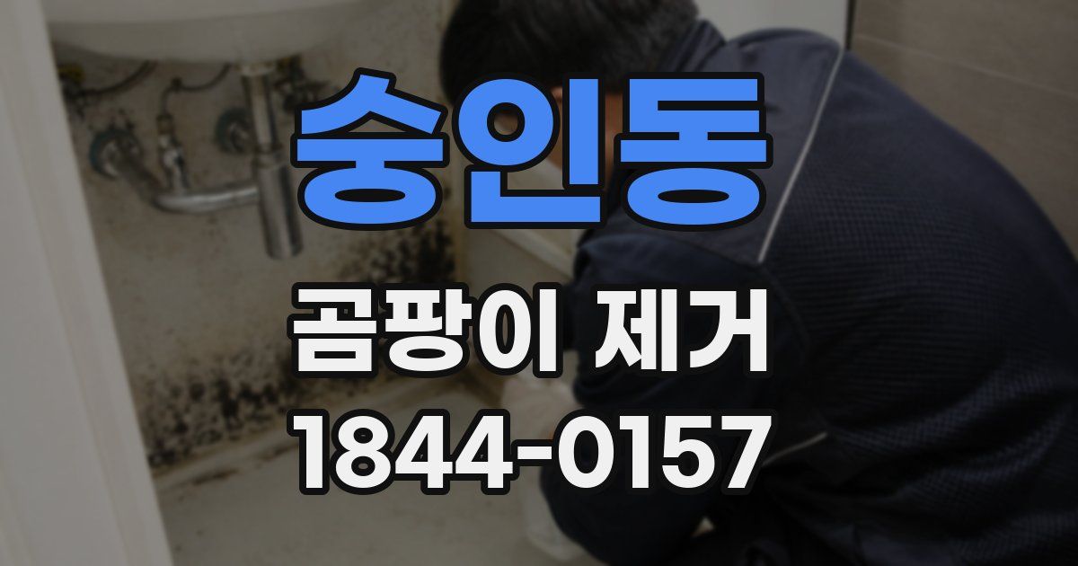 숭인동 곰팡이 제거