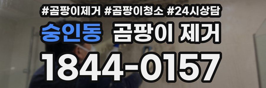 숭인동 곰팡이 제거