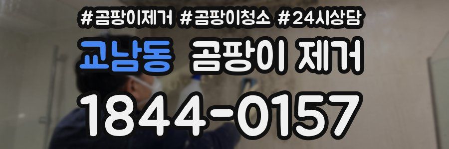교남동 곰팡이 제거