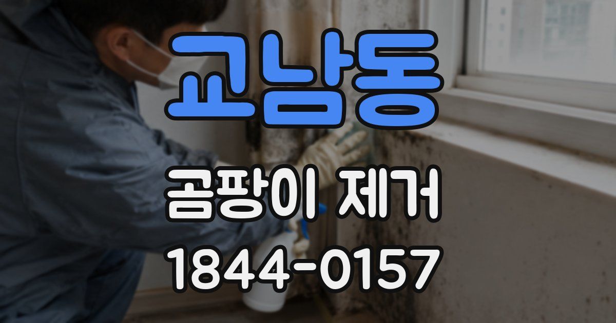 교남동 곰팡이 제거