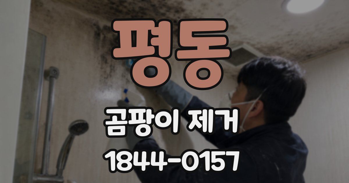 평동 곰팡이 제거