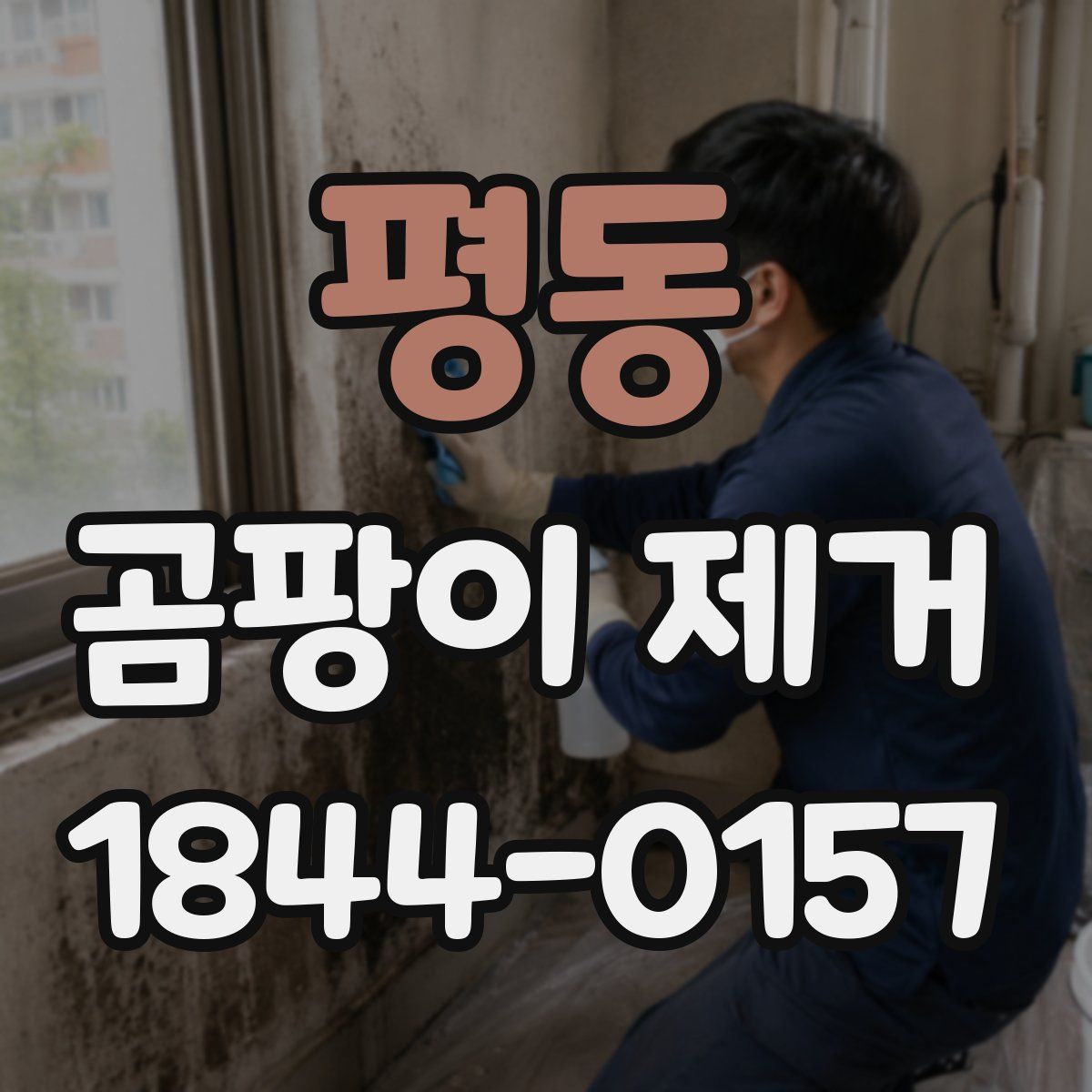 평동 곰팡이 제거