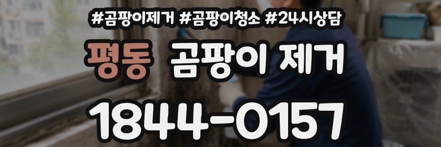평동 곰팡이 제거
