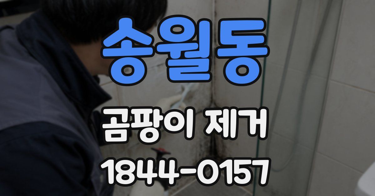 송월동 곰팡이 제거
