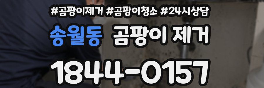 송월동 곰팡이 제거