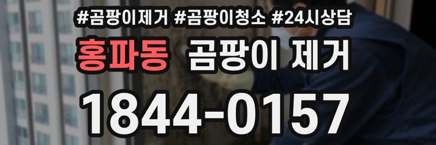 홍파동 곰팡이 제거