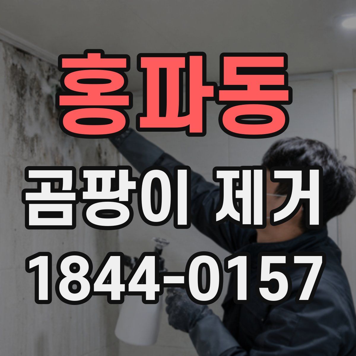 홍파동 곰팡이 제거