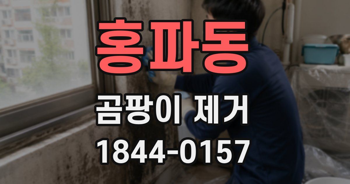 홍파동 곰팡이 제거