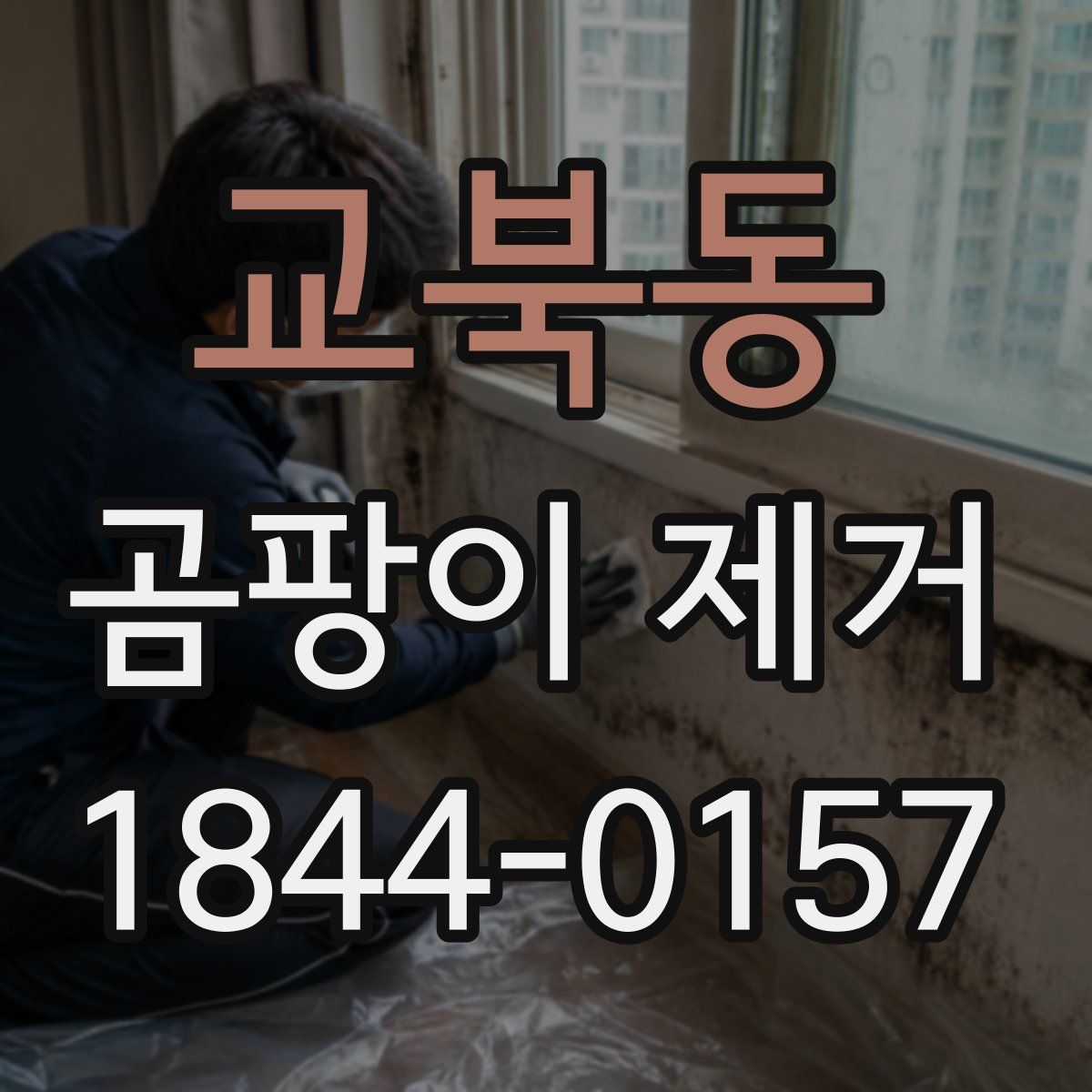 교북동 곰팡이 제거