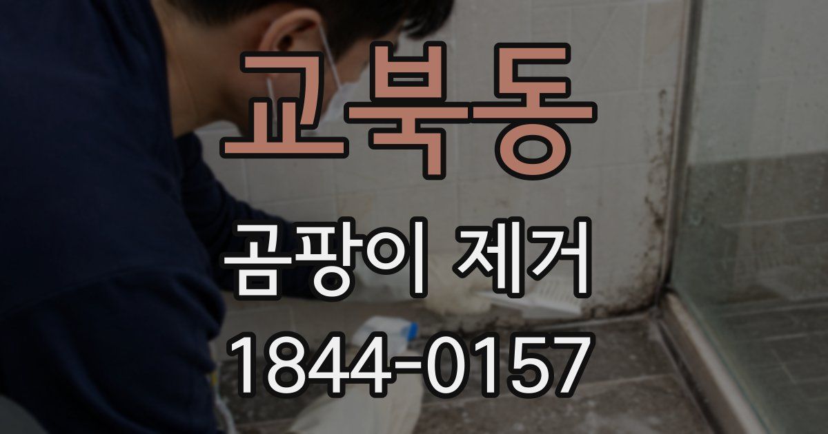 교북동 곰팡이 제거