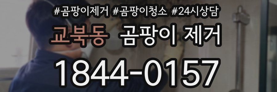 교북동 곰팡이 제거