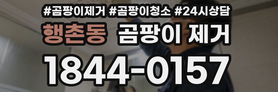 행촌동 곰팡이 제거
