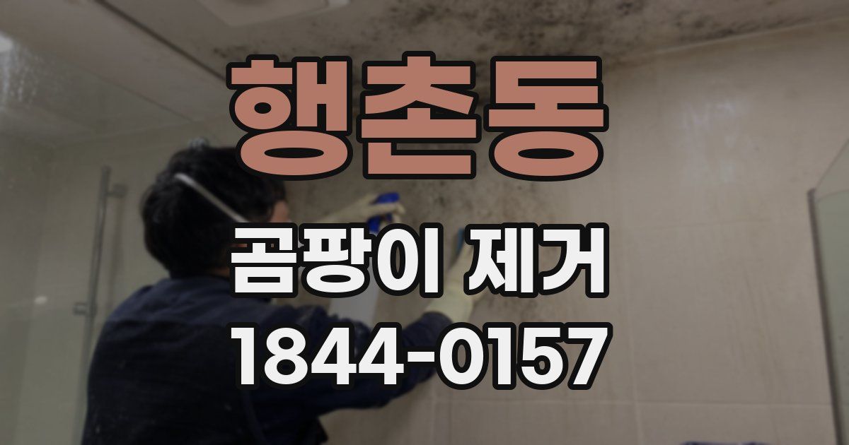 행촌동 곰팡이 제거