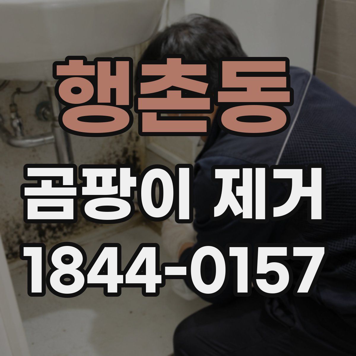 행촌동 곰팡이 제거