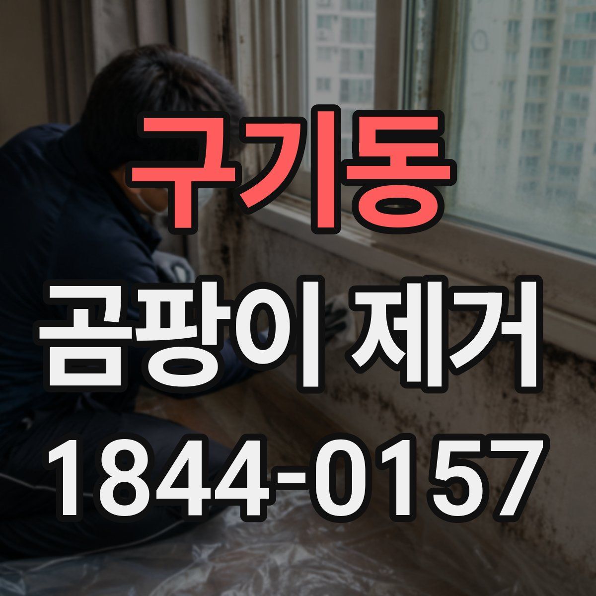 구기동 곰팡이 제거