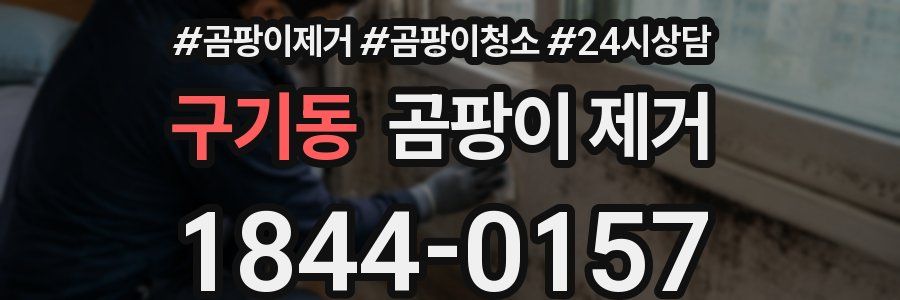 구기동 곰팡이 제거
