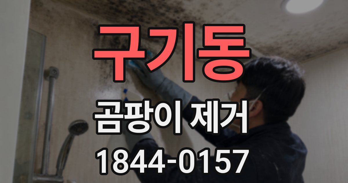 구기동 곰팡이 제거