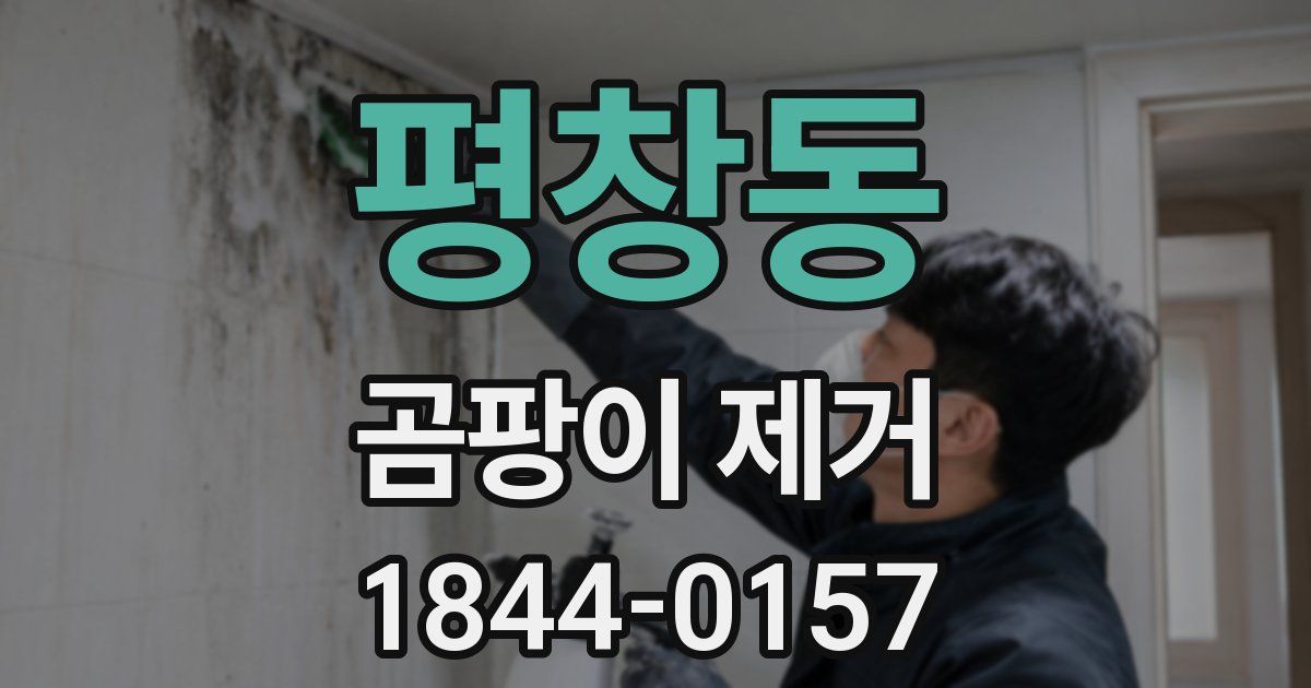 평창동 곰팡이 제거
