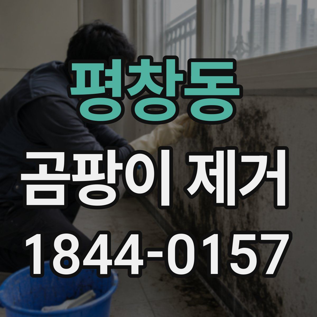 평창동 곰팡이 제거
