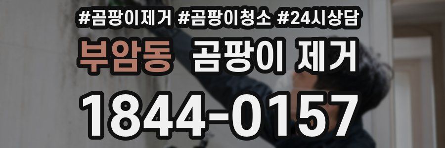 부암동 곰팡이 제거