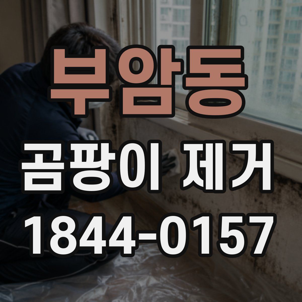 부암동 곰팡이 제거