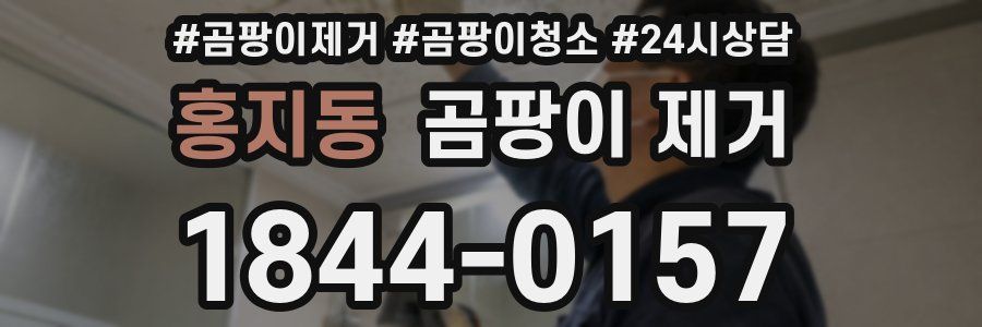 홍지동 곰팡이 제거