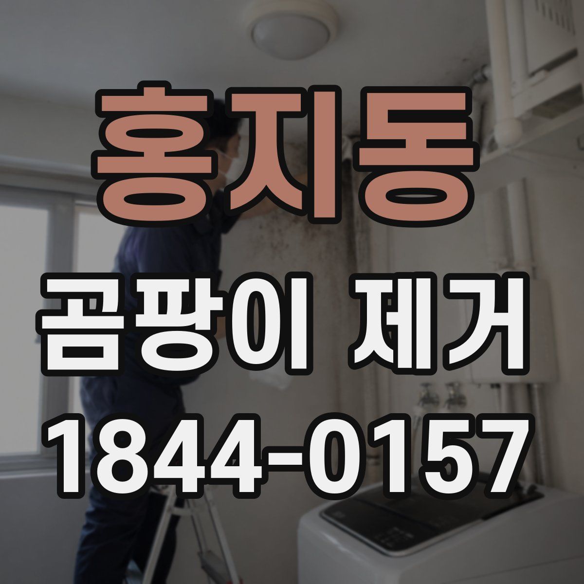 홍지동 곰팡이 제거