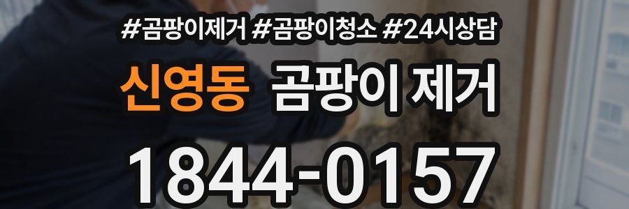 신영동 곰팡이 제거