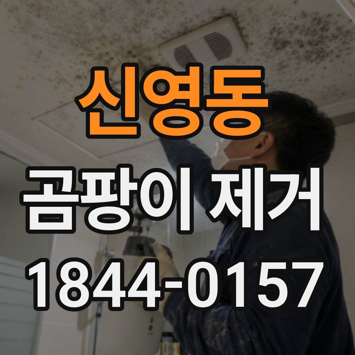 신영동 곰팡이 제거